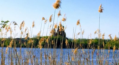 Рыбалка на Софиевском водохранилище