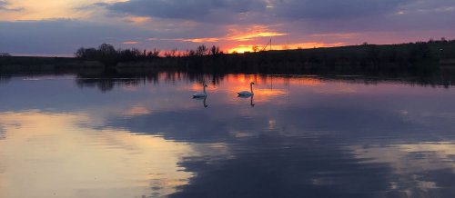 Рибалка на Спортивній водоймі Орлеан