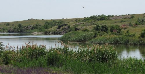 Риболовля та відпочинок на річці Каратюк у Запорізькій області