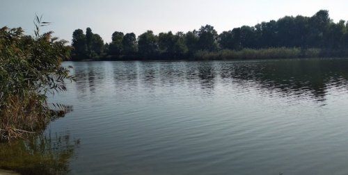 Ставок Подкова в Черкасской области