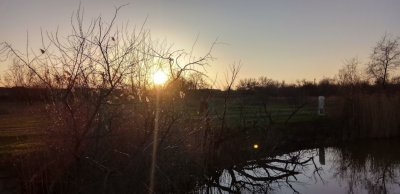 Рыбалка на ставке Три Карася