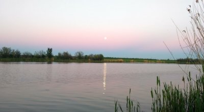 Рыбалка на ставке Три Карася