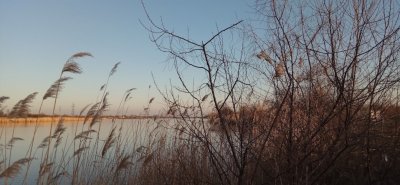 Рыбалка на ставке Три Карася