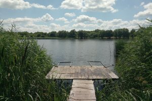 Ставок в с. Косари Черкасской области-2