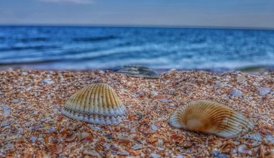 Стрелковое на  Арабатской 