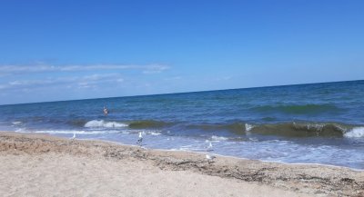 Стрелковое на  Арабатской 