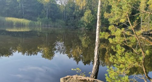 Риболовля на Тригірському водосховищі