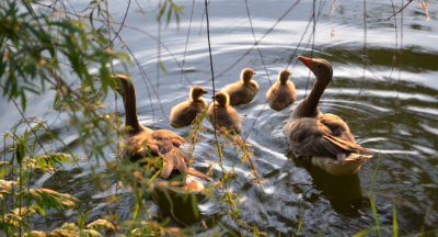 Рибалка на водоймі Хутір