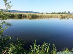 Водоем Романов