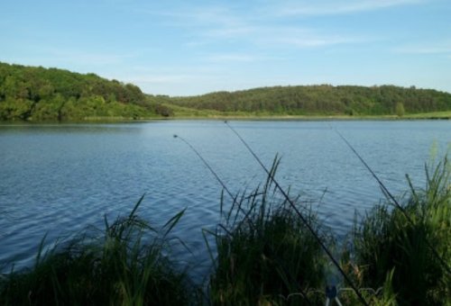 Водоем в с. Косарево в Ровенской области