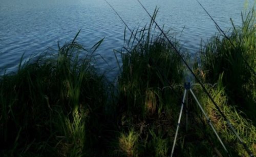 Водоем в с. Косарево в Ровенской области
