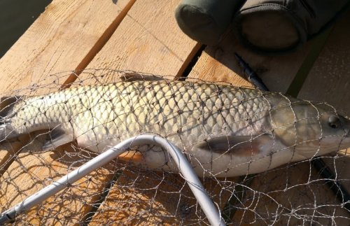 Рыбалка на водоеме в  селе Мирном