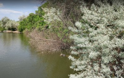 Рыбалка на водоеме в  селе Мирном