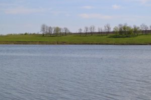 База отдыха и рыбалки Золотой карась в Кировоградской области-2