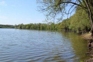 База отдыха и рыбалки Золотой карась в Кировоградской области-1