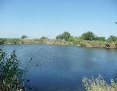 Рибалка біля села Вовче 