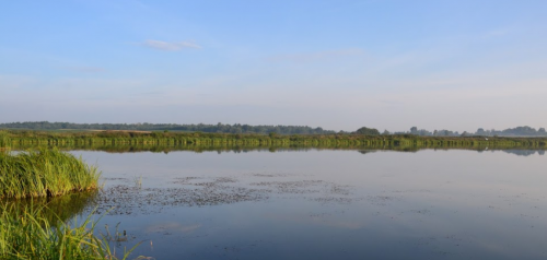 Два ставки біля села Коршів Волинської області