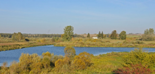 Два ставки біля села Коршів Волинської області