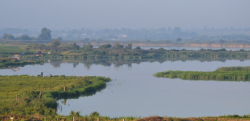 Два ставки біля села Коршів Волинської області