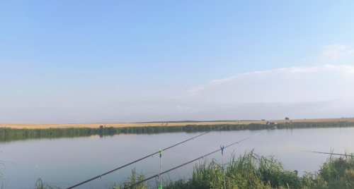 Два ставки біля села Коршів Волинської області