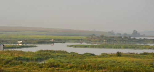Два ставки біля села Коршів Волинської області