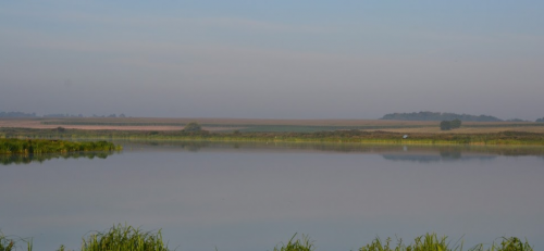 Два ставки біля села Коршів Волинської області