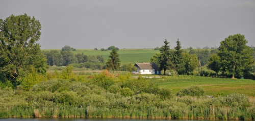 Два ставки біля села Коршів Волинської області