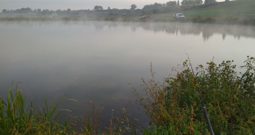 Два ставки біля села Коршів Волинської області