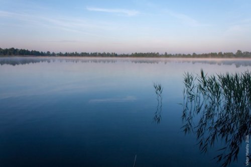 Кисилін ставок у Волинській області