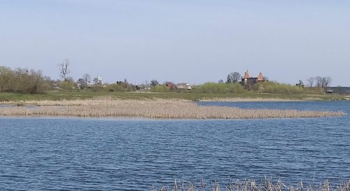 Кисилін ставок у Волинській області