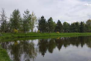 Комплекс Рыбное Место в Киевской области-1