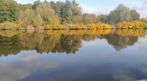 Озеро Чайка в Киевской области