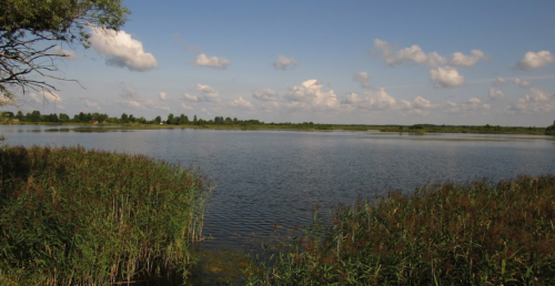 Озеро Домашнє 