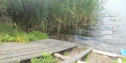 Озеро Домашнє 