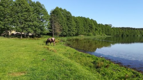Озеро Дружби у Волинській області