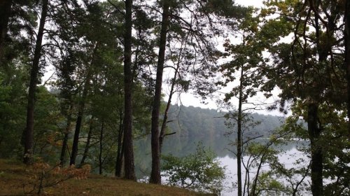 Озеро Дружби у Волинській області