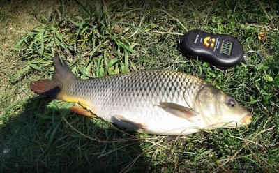 Озеро Кадан в с.Лычанка