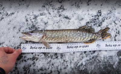 Озеро Кадан в с.Лычанка