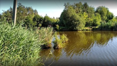 Озеро Кадан в с.Лычанка