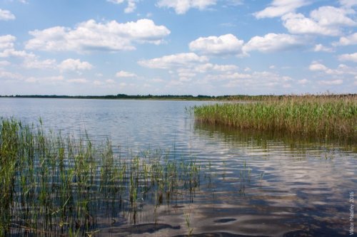 Озеро Лука у Волинській області