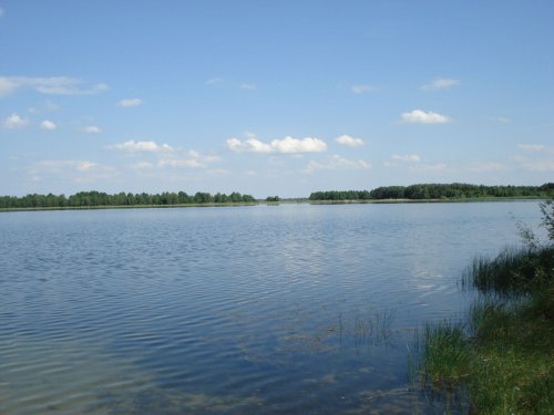 Озеро Лука у Волинській області