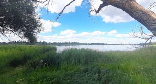 Озеро Окорське у Волинській області