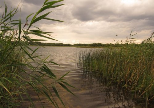 Озеро Острівне у Волинській області