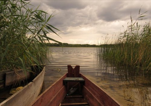 Озеро Острівне у Волинській області
