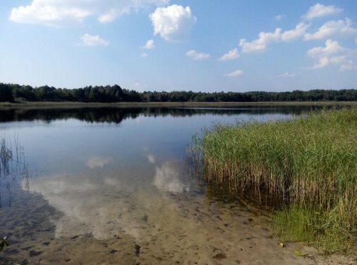 Озеро Острівне у Волинській області