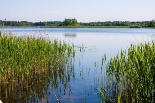 Озеро Острівне у Волинській області