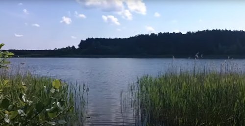 Озеро Острівне у Волинській області