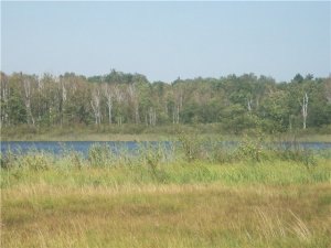 Озеро Панське у Волинській області