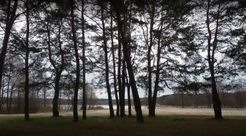 Озеро Пісочне біля Поліського у Волинській області