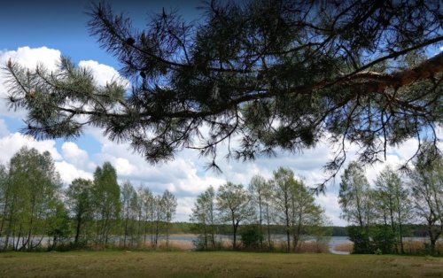 Озеро Пісочне біля Поліського у Волинській області